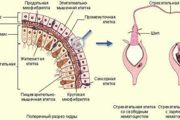 Кракен зеркало на сегодня