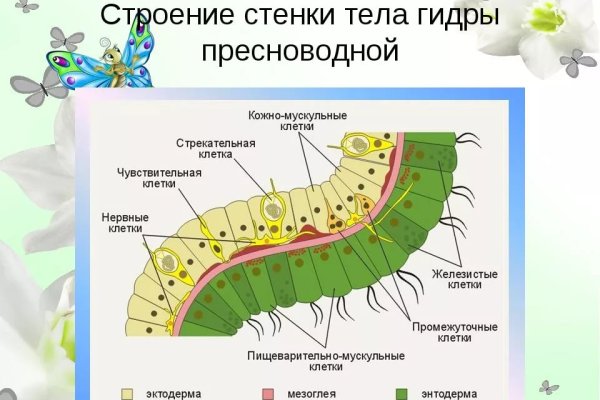 Clear ссылка на кракен
