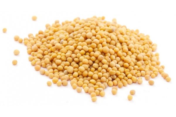 Кракен сайт 18