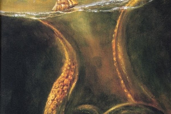 Kraken 24at