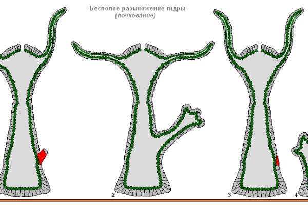 Кракен соль