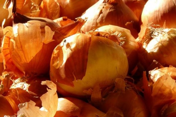 Кракен вход