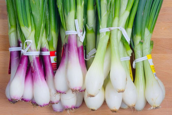 Оригинальная ссылка на кракен