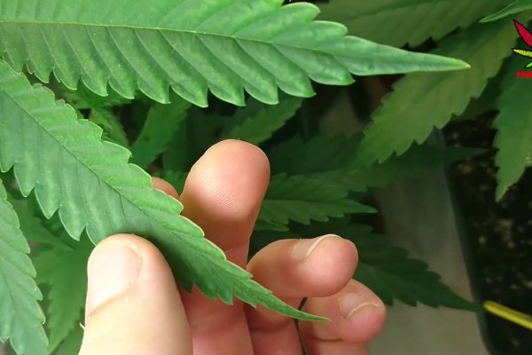 Kra42.at Вход на сайт главная страница