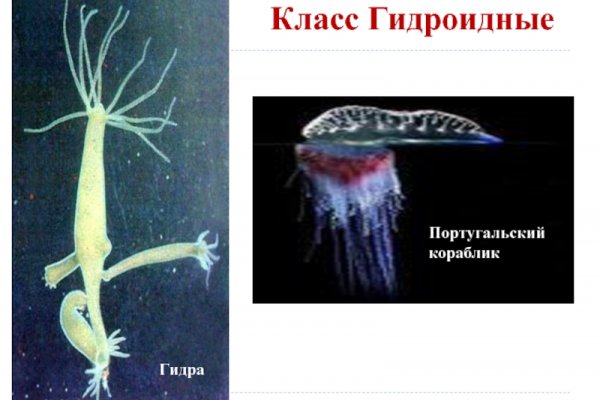 Kraken актуальное