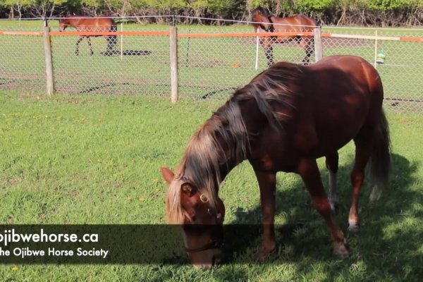 Кракен маркетплейс откуда взялся