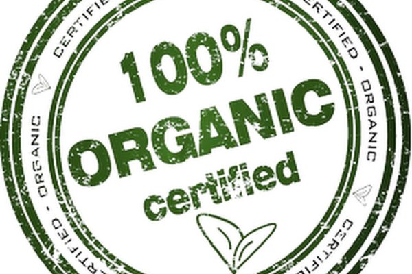 Kraken рабочий