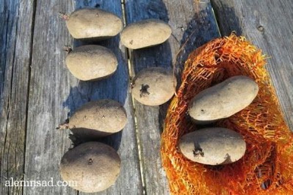 Ссылки на кракен at