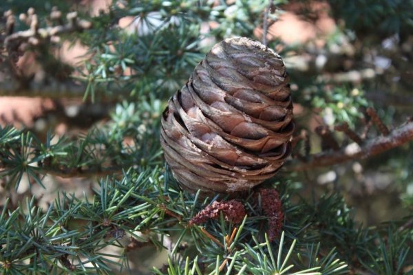 Kra49.at Вход на сайт главная страница