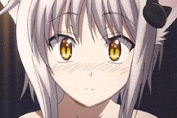 Ссылки тор браузер