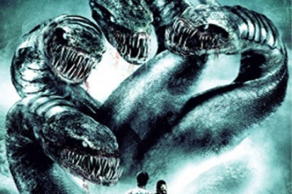 Как восстановить пароль на кракене